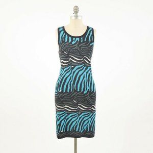 Issa London X Banana Republic Zebra Print Dress